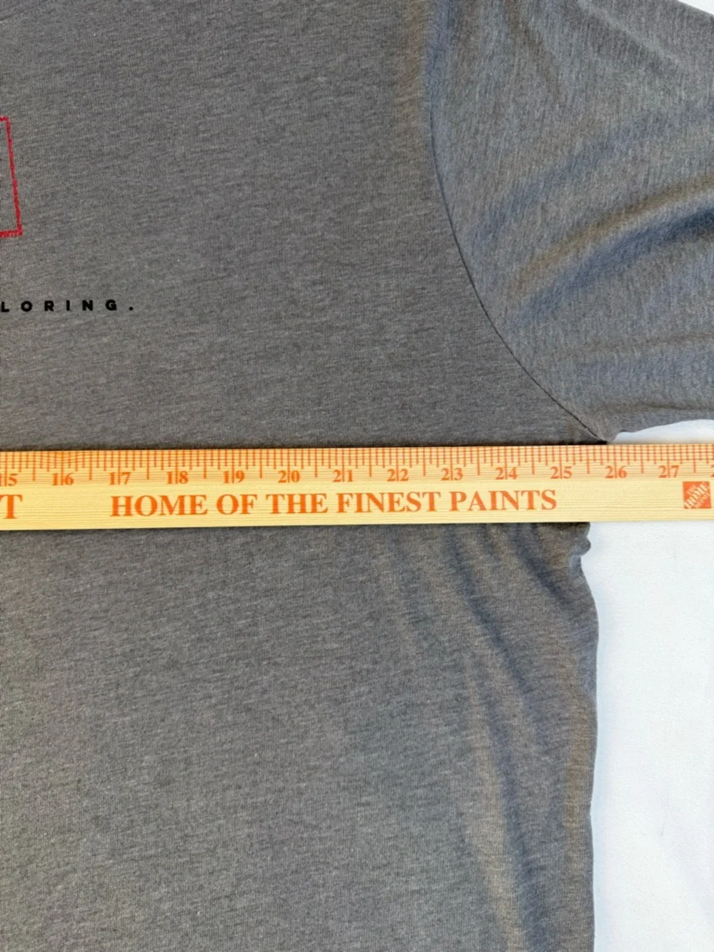 The North Face Gray Long-Sleeve Crewneck Shirt with‎ Red Graphic